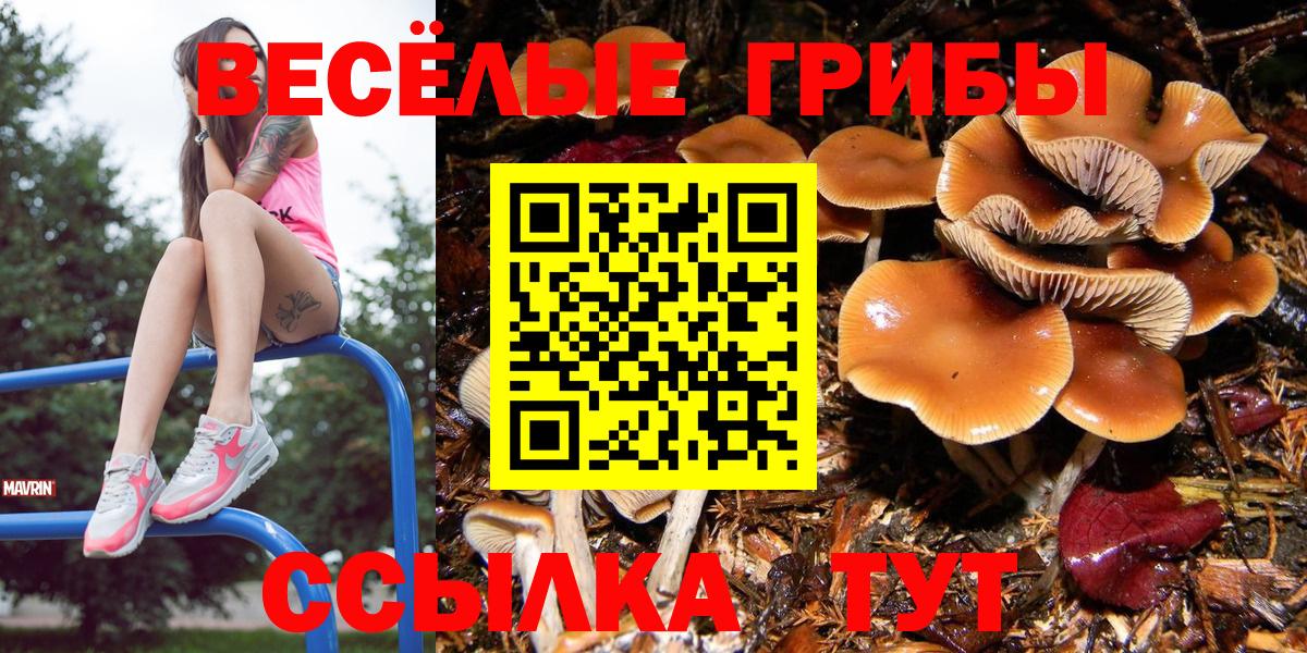 Псилоцибиновые грибы мицелий  Вход с VPN  Королёв 
