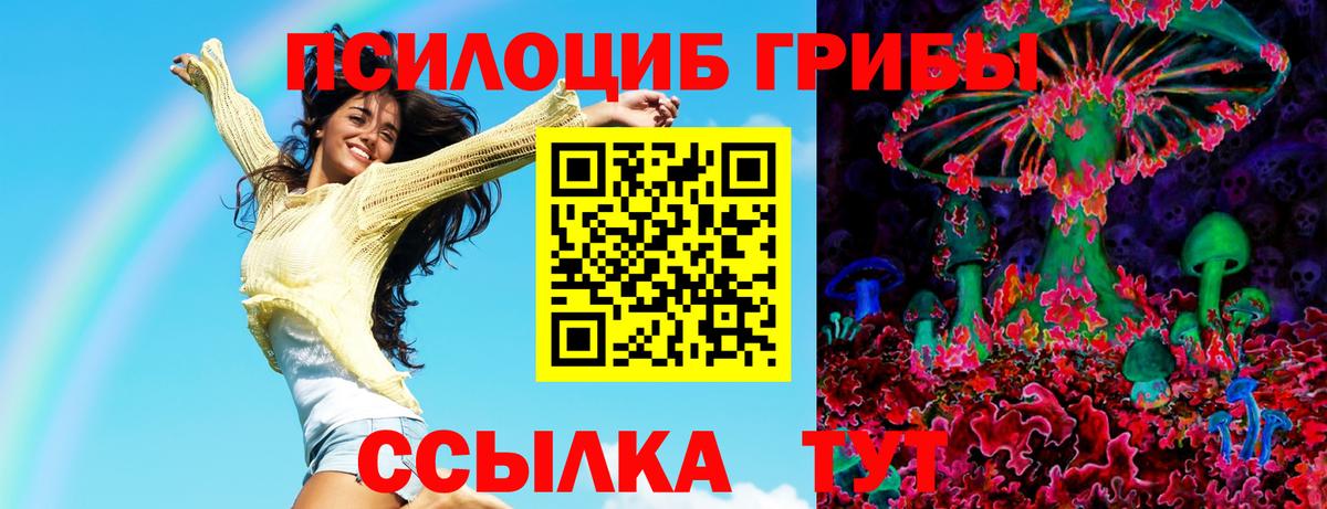 Псилоцибиновые грибы ЛСД Королёв